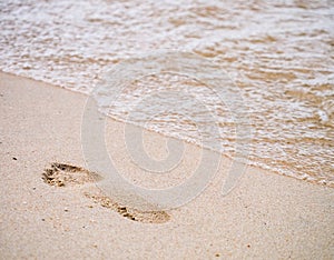 Human footprint on the beach