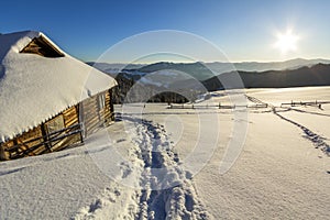 Human footprint path in white deep snow leading to small old wooden forsaken shepherd hut in mountain valley, spruce forest, woody