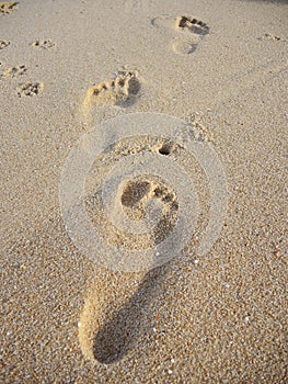 Human footprint on sand