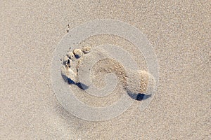 Human footprint on sand summer tropical beach background