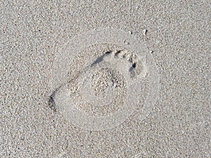 Human footprint on the sea sandy shore