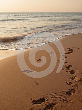 Human Footprint And Silent Beach