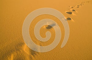 Human footprints on the beach