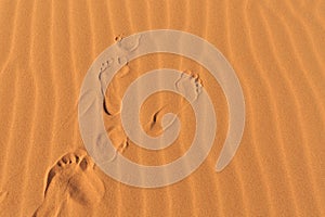 Human footprints on desert wavy sand.