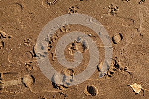 Human footprints in the sand on the beach, texture background