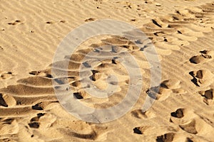 Human footprints in the sand on the beach, texture background