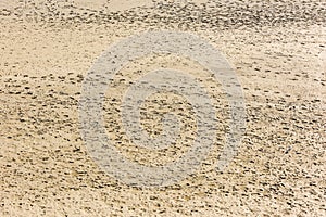 Human footprints on the sand of the sea bottom