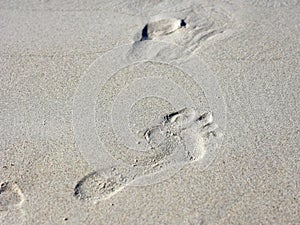 Human footprints on the sandy beach.