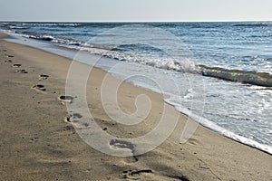 Human footprints on a sandy sea beach stretching into the distance.