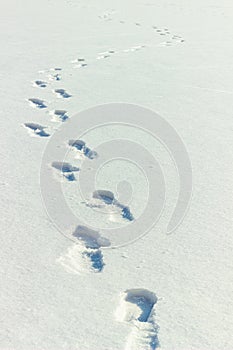 Human footprints on snow. Footsteps on winter frozen lake surface