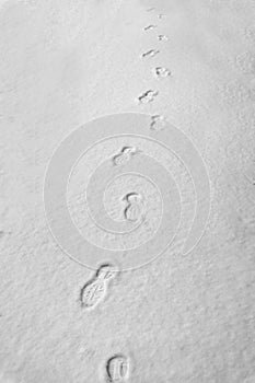 Human footprints on the snow, winter path