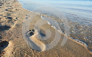 Human footstep at sea beach