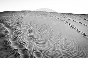 Human footsteps in desert dune
