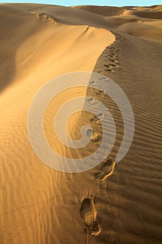 Human footsteps in sand in Desert