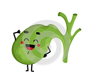 Human gallbladder cute cartoon character