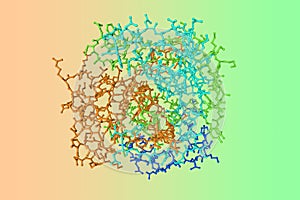 Human gamma-thrombin. Molecular model. Rendering with differently colored protein chains. 3d illustration