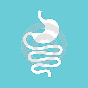 Human gastrointestinal system, stomach and intestine vector icon