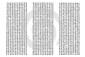 Human genome photo