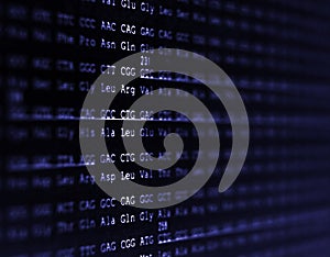 Human genome sequence