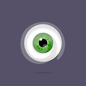 Human green eye isolated on dark background. Eyeball iris pupil