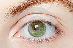 Human, green healthy eye macro
