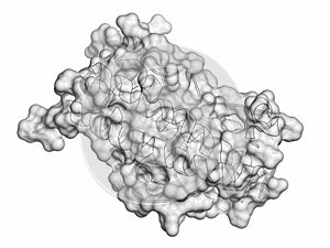 Human growth hormone hGH, Somatotropin molecule. 3D rendering. Natural hormone that is used both as a drug and as a doping agent