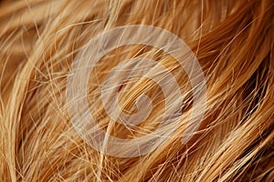 human hair structure, snapshot aesthetic,keratin.