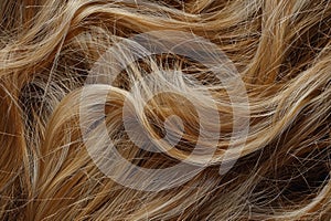 human hair structure, snapshot aesthetic,keratin.