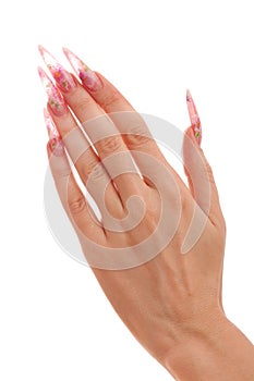 Human hand with the beautiful fingernail photo