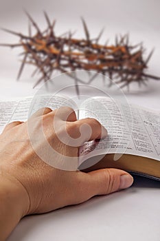Human hand on bible
