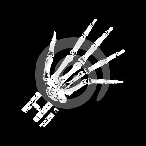 Human hand bones icon vector from body parts collection.