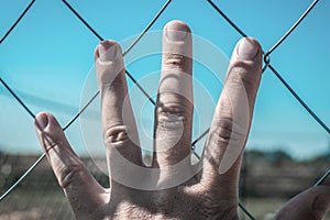 Human hand on a chain-link mesh or fencing mesh against a blue sky background. Gloomy toning. The concept of the desire for