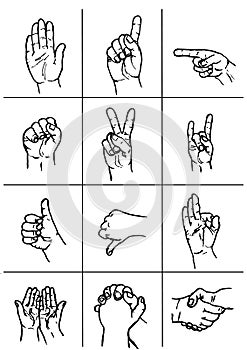 Human Hand collection different hands