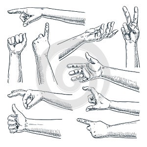 Human hand gesture. Vector sketch hand drawn illustration. Male or female hands collection, isolated on white background