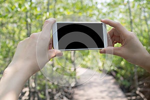 human hand hold black blank screen for text on smart phone, tablet, cellphone with walk way in garden.