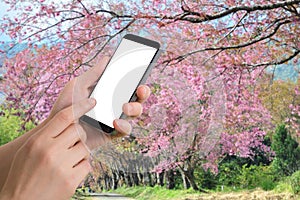 Human hand hold smartphone with blank screen on blurry colorful nature background.