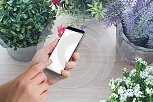 human hand hold and touch blank screen cell phone on variety beautiful flower pot.