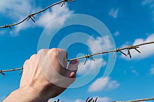 Human hand holding barbed wire and sky background. Conceptual scene