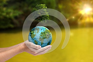 A human hand holding a globe with a growing tree