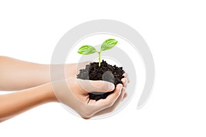 Human hand holding green sprout leaf growth at dirt soil