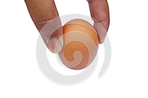 Human hand holding hen egg on white background