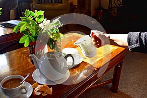 Human hand holding a jar of milk and pouring milk into a cup hot tea on wooden table background. Traditional english tea in aftern