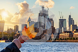 Human hand holding a leaf in front of the skyline of London