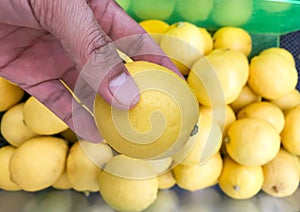 Human hand holding a lemon on blur background.