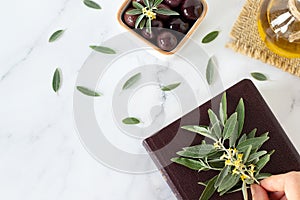 Human hand holding olive branch over closed bible book, extra virgin olive oil and green leaves on white
