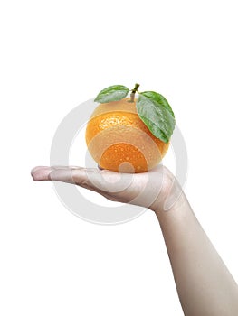 Human hand holding a of orange isolated on a white background