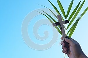 Human hand holding palm leaves with wooden crucifix cross in blue sky. Palm sunday background.