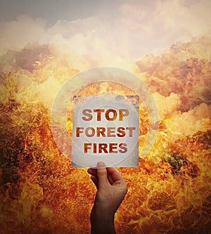 Human hand holding a paper sheet with stop forest fires message in the middle of a wildfire disaster. Global environment danger,