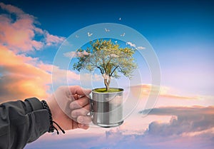 Human hand holding perfect growing tree