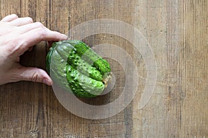 Human Hand holding ugly triple green organic cucumber. Vegetable with unusual shape on brown wooden background with copy space.